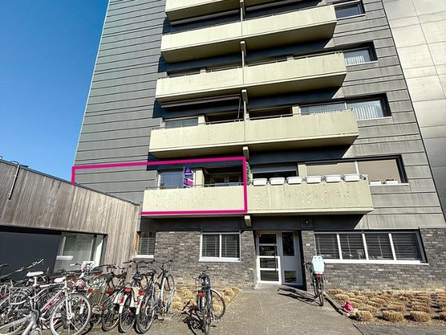 Appartement location à Hollandsveld, Hasselt