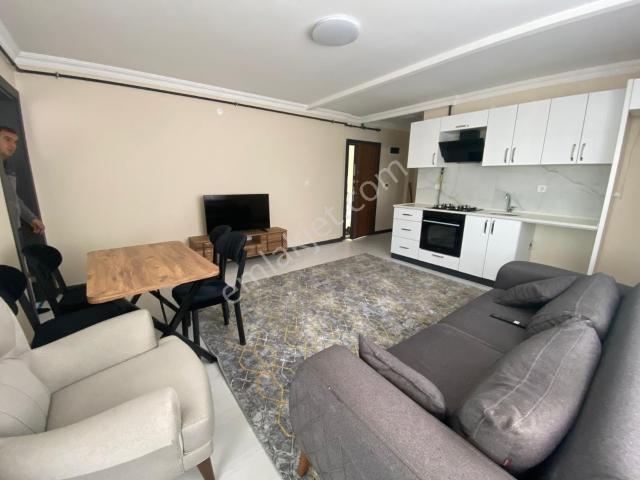 Aliağa, İzmir içerisinde kiralık mülk