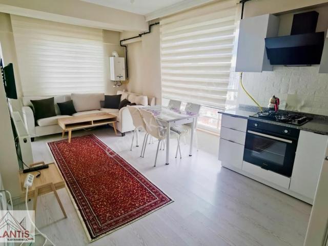 Kastamonu Merkez, Kastamonu içerisinde kiralık mülk