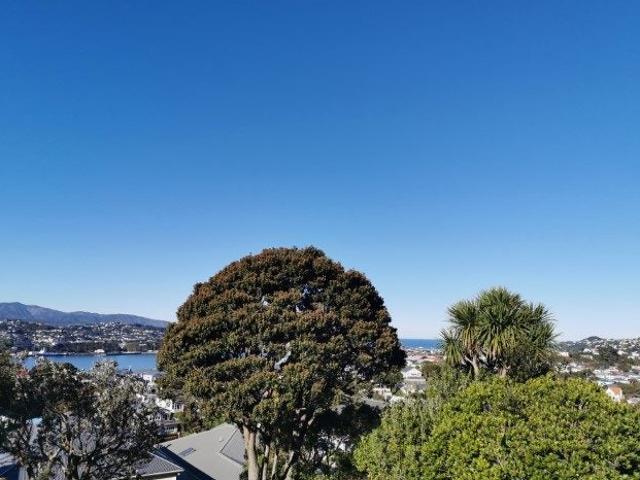 House for rent in Hataitai, Wellington