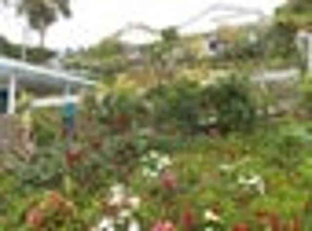 House for rent in Hataitai, Wellington