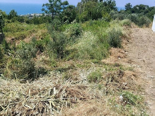 Hatay içerisinde satılık mülk