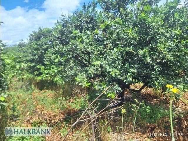 Dörtyol, Hatay içerisinde satılık mülk