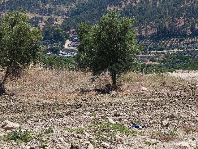 Kirikhan, Hatay içerisinde satılık mülk