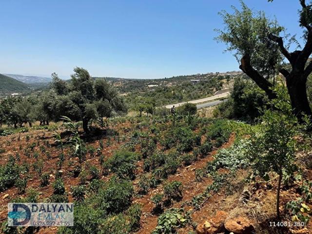 Yayladaği, Hatay içerisinde satılık Arsa