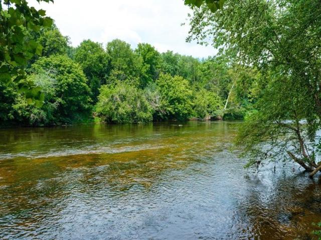 Land for sale in Virginia