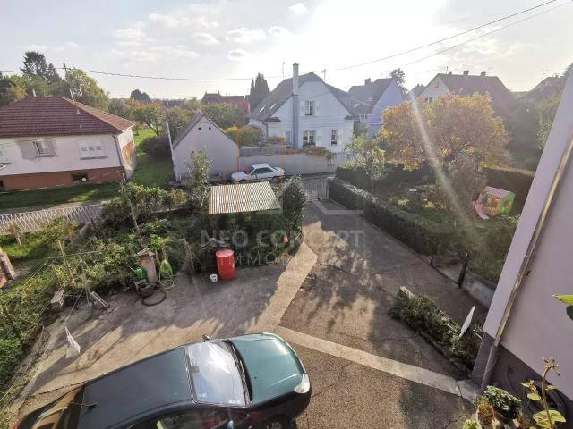 Maison vente à Haguenau-Wissembourg, Hatten