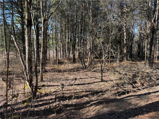 Land for sale in Greene, New York
