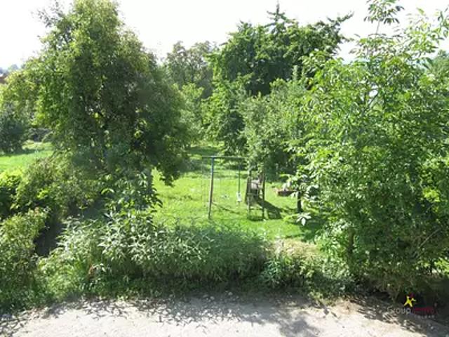 Maison location à Hattstatt, Collectivité européenne d'Alsace