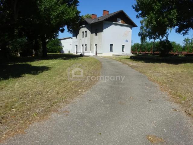 Haus kaufen in Haugsdorf, Niederösterreich