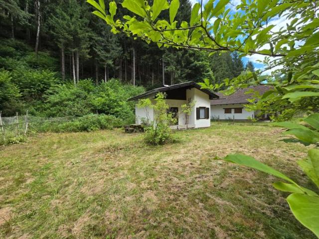 Haus kaufen in Edling, Spittal an der Drau