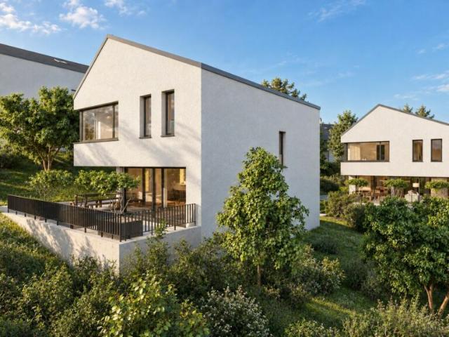 Einfamilienhaus kaufen in Blauen, Basel-Landschaft