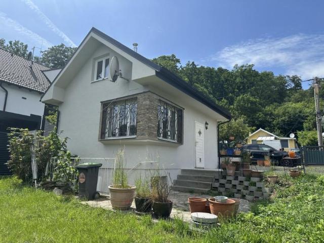 Haus mieten in KG Innere Stadt, Wien