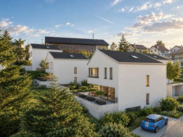 Einfamilienhaus kaufen in Blauen, Basel-Landschaft