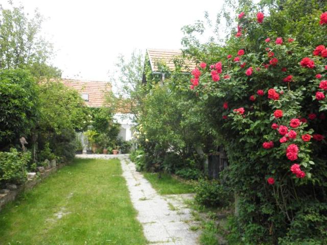 Haus kaufen in Dürnbach im Burgenland/Vincjet, Schachendorf/Čajta