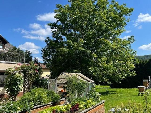 Haus kaufen in Katastralgemeinde Heiligenkreuz, Heiligenkreuz