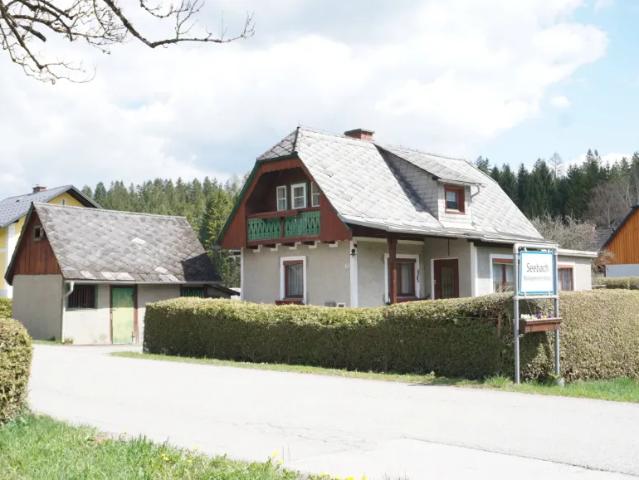 Haus kaufen in Graßnitz, Aflenz