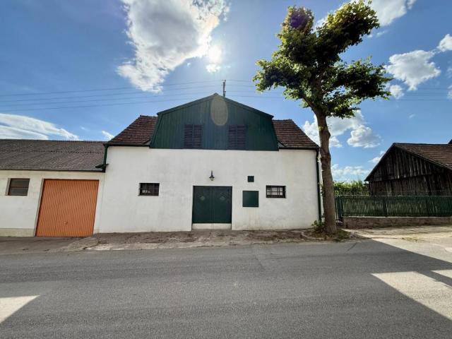 Haus kaufen in Alberndorf im Pulkautal, Niederösterreich