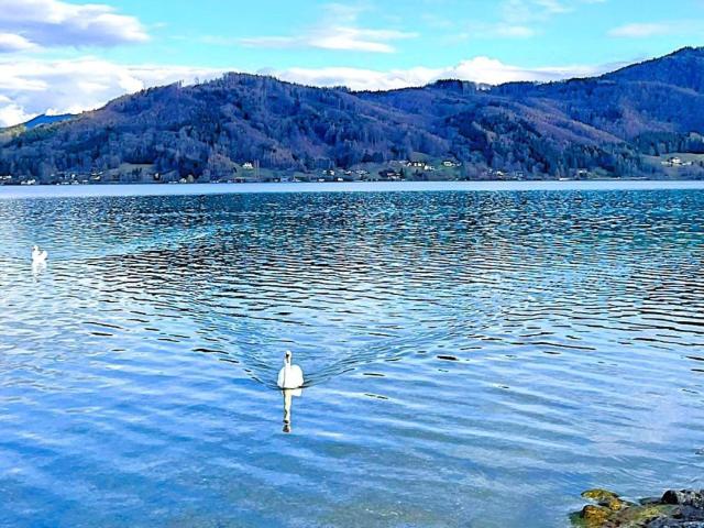 Apartment kaufen in Attersee