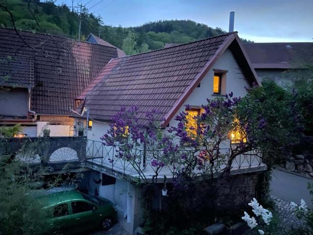 Apartment mieten in Dannenfels, Rheinland-Pfalz