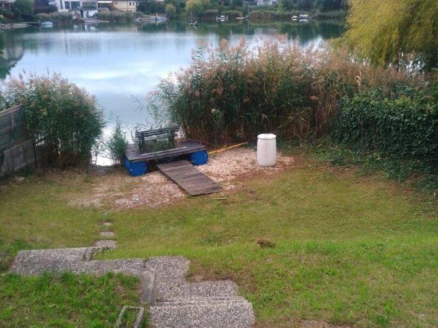 Haus kaufen in Leopoldsdorf im Marchfelde, Niederösterreich