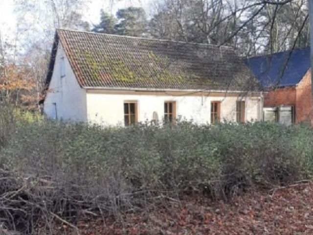 Haus kaufen in Wildenfels, Sachsen
