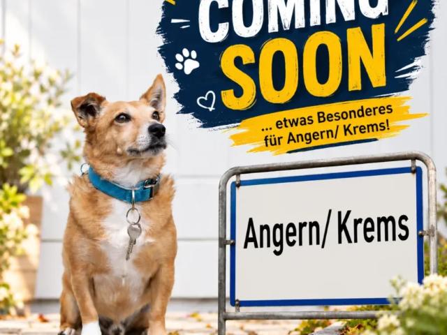 Haus kaufen in Katastralgemeinde Angern, Angern an der March