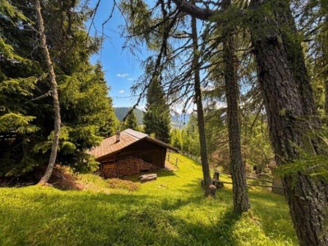 Haus kaufen in Anras, Tirol