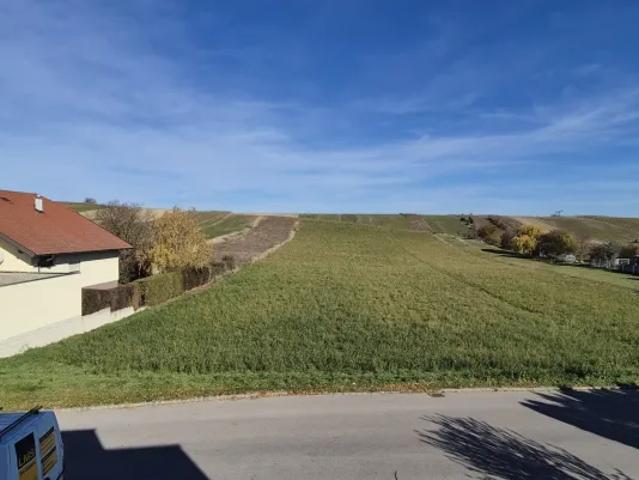 Haus kaufen in Auersthal, Niederösterreich