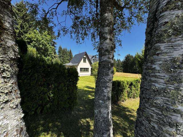 Villa kaufen in Eibenstock, Sachsen