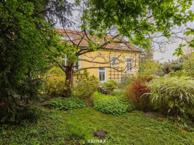 Einfamilienhaus kaufen in Langenzersdorf, Niederösterreich