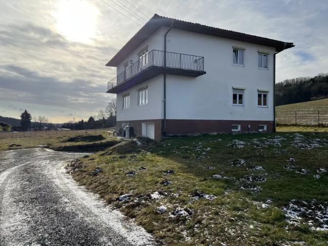 Haus kaufen in Bocksdorf, Burgenland