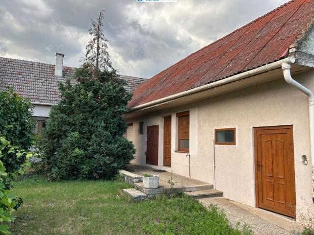 Haus kaufen in Tadten, Burgenland