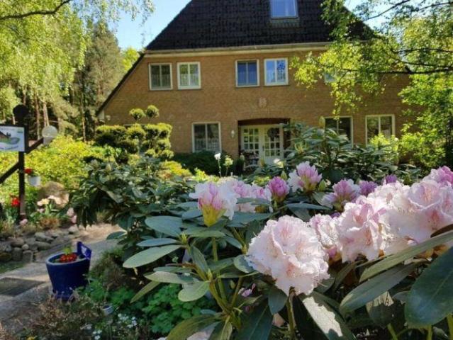 Haus kaufen in Drösing, Niederösterreich