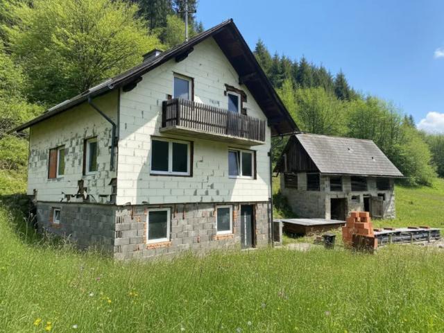 Haus kaufen in Mariahof, Steiermark