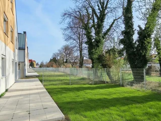 Haus kaufen in Ebenfurth, Niederösterreich