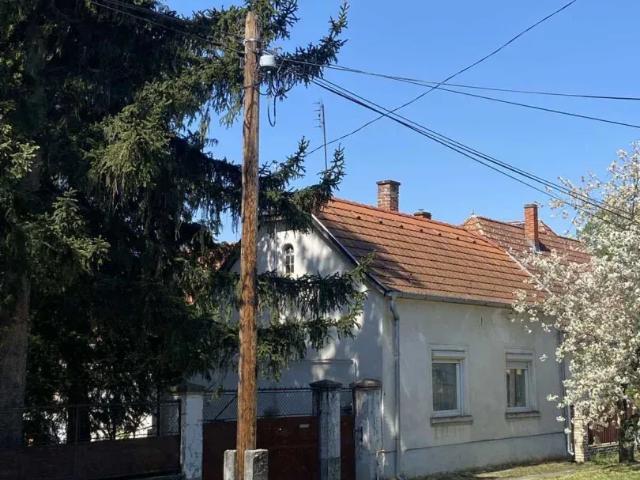 Haus kaufen