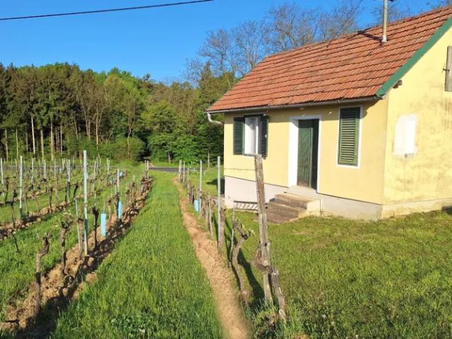 Haus kaufen in Eisenberg an der Pinka, Burgenland