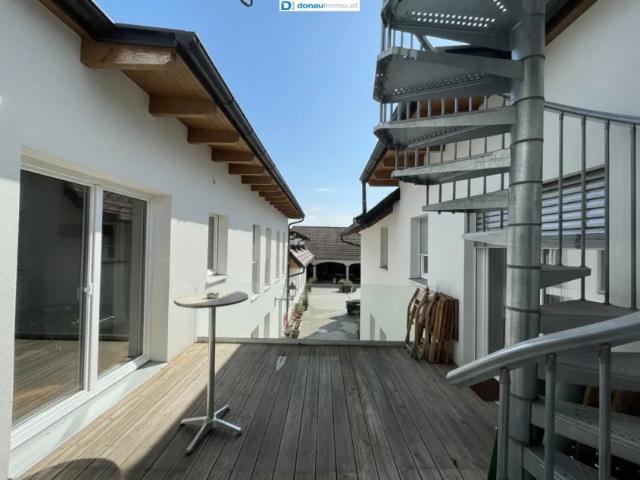 Haus kaufen in Niederösterreich