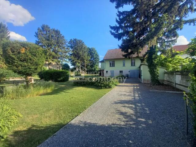 Haus kaufen in Katastralgemeinde Engelhartstetten, Engelhartstetten