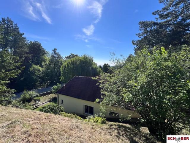 Haus kaufen in Enzesfeld-Lindabrunn, Niederösterreich