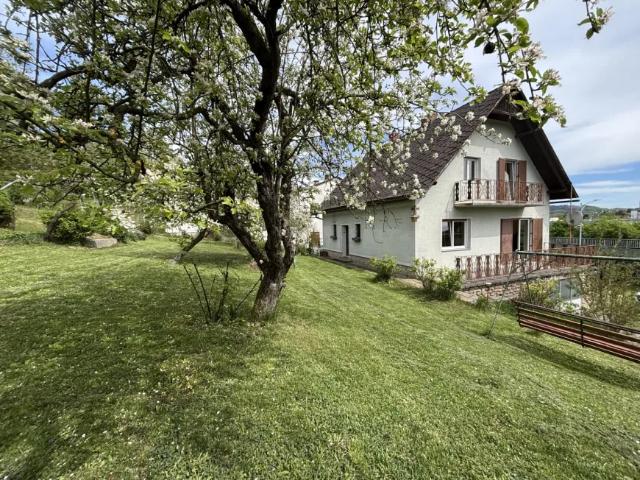 Haus kaufen in Feldbach, Steiermark