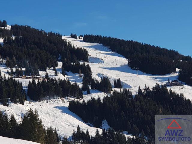 Haus kaufen in Going am Wilden Kaiser, Tirol
