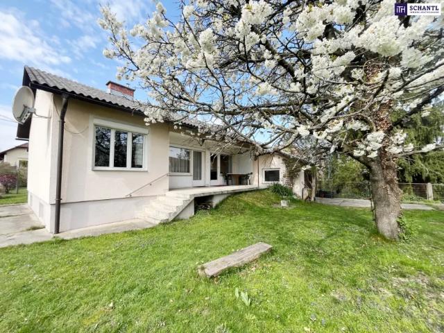 Haus kaufen in Liebenau, Gersdorf-Feistritz