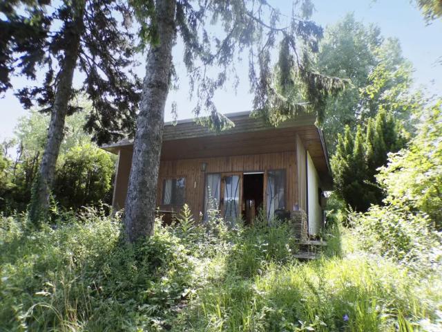 Haus kaufen in Groß-Enzersdorf, Niederösterreich