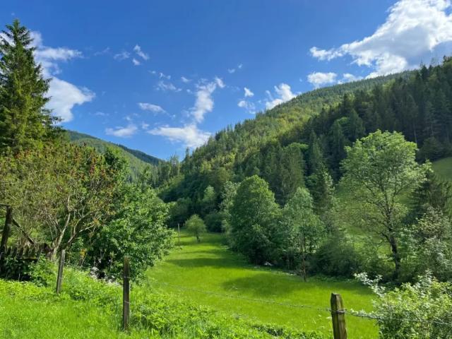 Haus kaufen in Deutschfeistritz, Steiermark