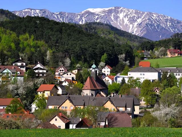 Haus kaufen in Grünbach am Schneeberg, Niederösterreich