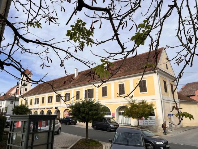 Haus kaufen in Güssing, Burgenland