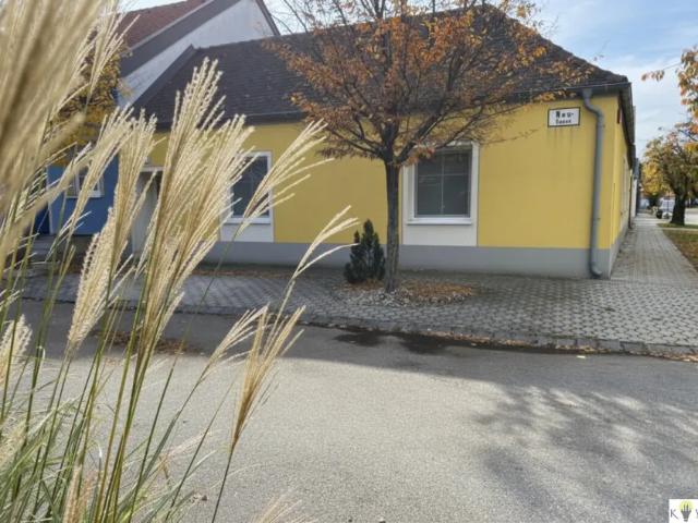 Haus kaufen in Halbturn, Burgenland