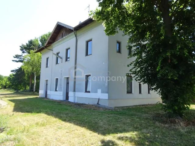 Haus kaufen in Haugsdorf, Niederösterreich